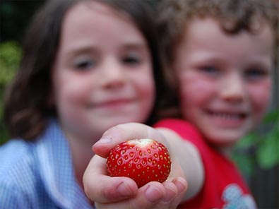 juicy strawberry
