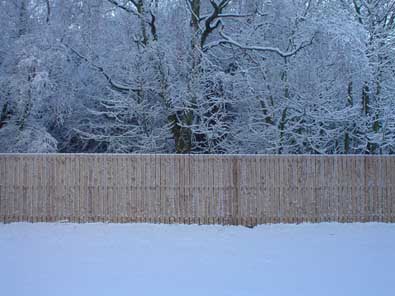 snowy back garden